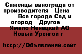 Саженцы винограда от производителя › Цена ­ 800 - Все города Сад и огород » Другое   . Ямало-Ненецкий АО,Новый Уренгой г.